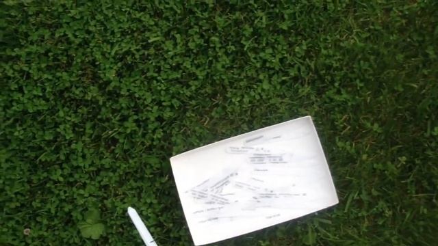 Проверяйте! Ставлю таблички с названиями цветов, которые цвели в мае и в начале июня! смотреть онлайн