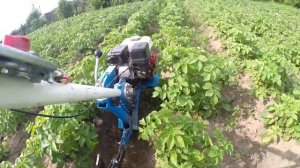 Мотокультиватор Нева МК-100