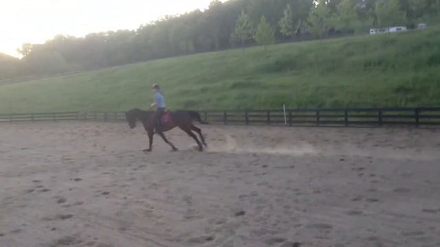 The Flight of Icarus - Show Jumping Course up to 4'9 смотреть онлайн
