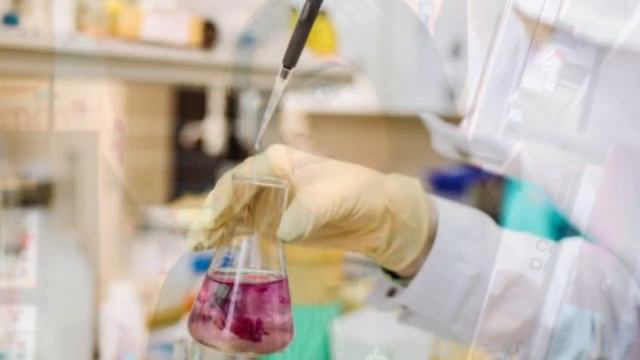 Ответный путешественник