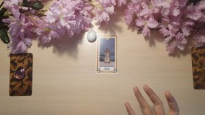 ? СОСТОИТСЯ ЛИ ВСТРЕЧА? КАК ПРОЙДЕТ?  | Таро онлайн, Общий Расклад Таро, Гадание Таро