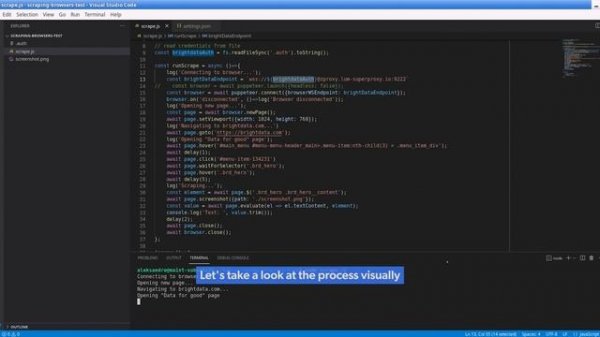 Scraping Browser API - Bright Data