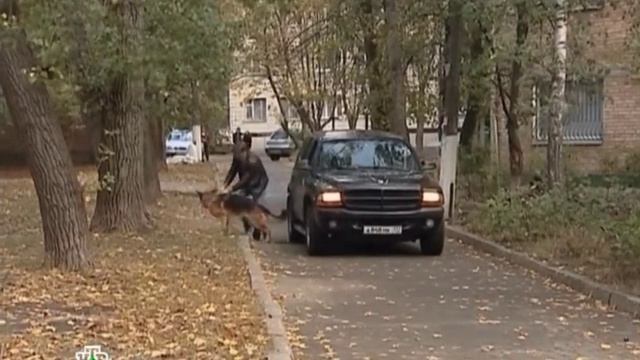 Возвращение Мухтара Задержание N_9