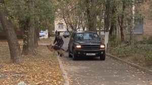 Возвращение Мухтара Задержание N_9