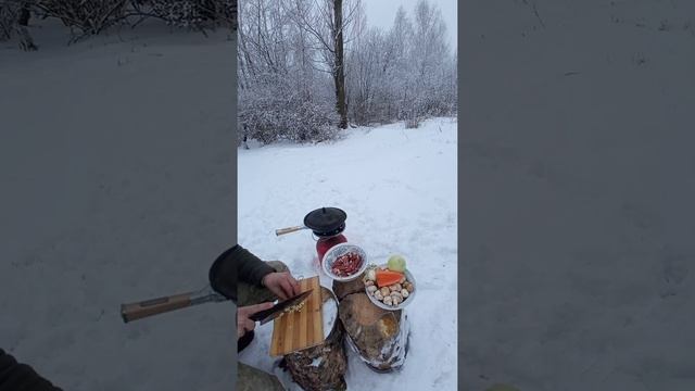 Сырный суп с грибами/Что может быть лучше в зимнем лесу кроме горячего и сытного супчик?