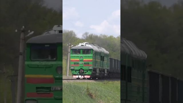 Green spring, green birds and a green locomotive смотреть онлайн