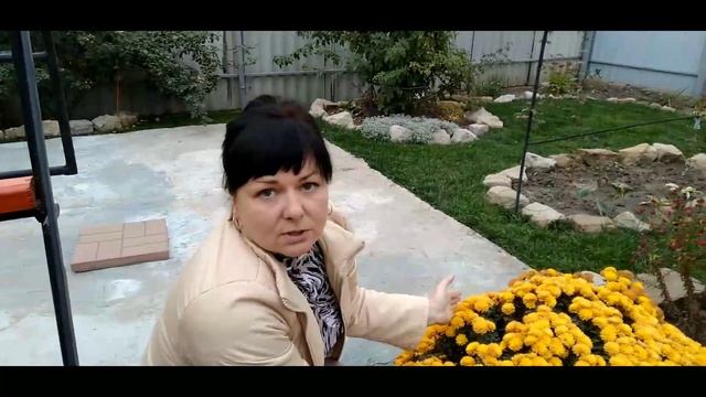 Хризантемы Мультифлора!!! Мой Опыт Выращивания!!! смотреть онлайн