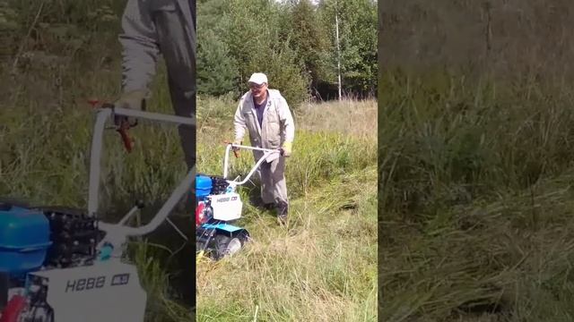 проба косилки для мотоблока на высокой траве смотреть онлайн