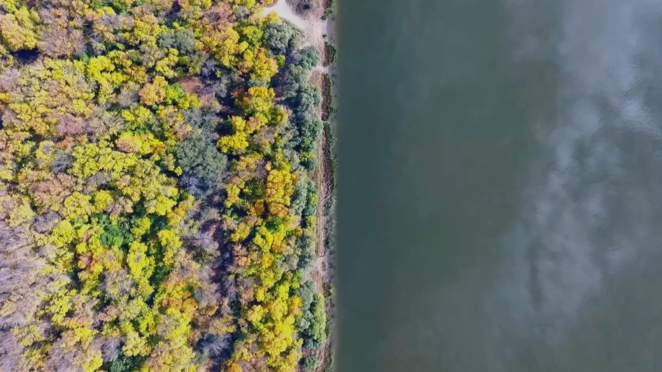 Астрахань Рыбалка Отдых для души часть 3 Осень 2021 Котлеты из щуки #владимиррадеев