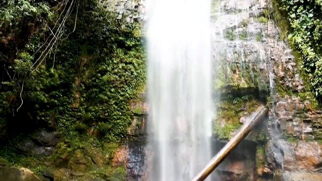 Как изменить свою жизнь? Делай этот ритуал каждый день! Утренняя медитация #Мотивация смотреть онлайн