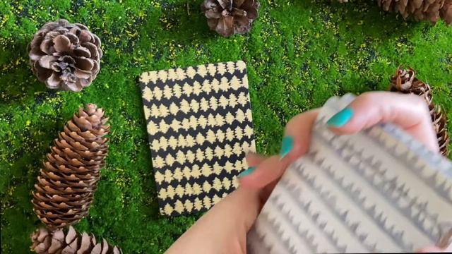 Your Forest Wisdom reading from both decks! Forest witch oracle reading ??? смотреть онлайн