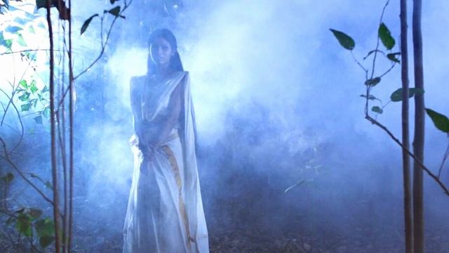 SuryakaladiMana | സൂര്യകാലടിമനയും യെക്ഷികളും | Malayalam Horror Story #MysteryMalayalam смотреть онлайн