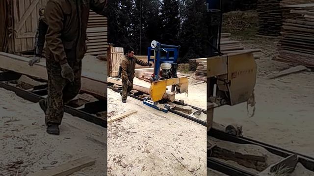 Бензиновая Пилорама смотреть онлайн