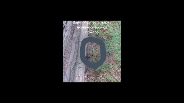 подборка пожарного тикток часть 6🔥👩🏼🚒🔥 смотреть онлайн