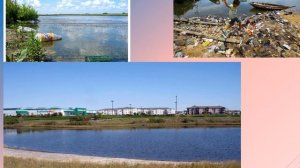 Окружающая среда и влияние её на здоровье