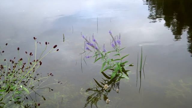 7 Киренга - Нижняя Тунгуска 2022 смотреть онлайн