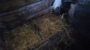 ГНЕЗДА ДЛЯ ГУСЕЙ! КАК ПОНЯТЬ, ЧТО СКОРО ГУСИ ЗАНЕСУТСЯ? ЛЕГКО!