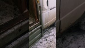 Перевозка животных. Перевозка овец??