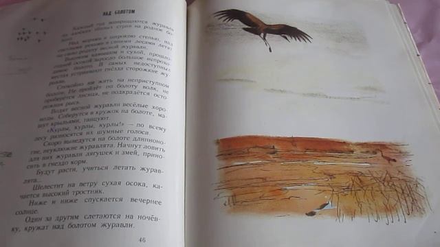 М. Соколов-Микитов - Год в лесу. Читает Т.А. Соколова. Библиотека мкрн. Луговая смотреть онлайн