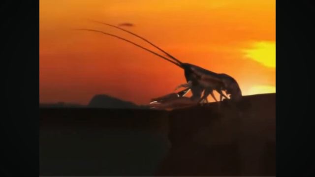 когда рак на горе свистнет