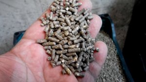 Рецепт комбикорма для рыбалки