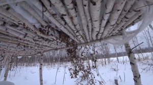 СНЕГОХОД СТЕЛС МОРОЗ (STELS MOROZ 600) на обкатке, первые 100 км. Отзыв владельца. Зима 2021