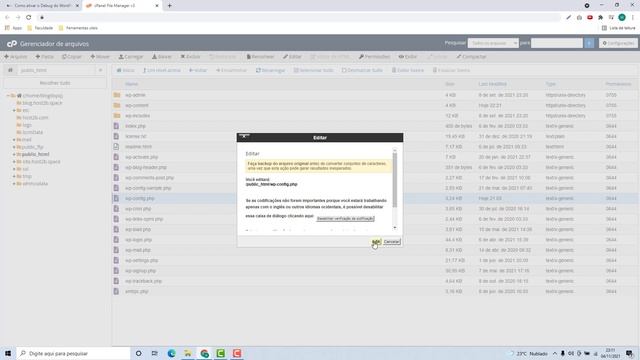 Como ativar o Debug do WordPress na Elevahost – rápido e fácil – 2022 смотреть онлайн