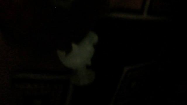 обзор моих прилипал из дикси 2 коллекция