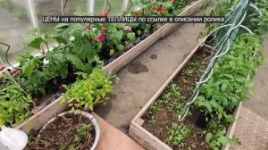 Как сделать грядки в теплице 3 на 6