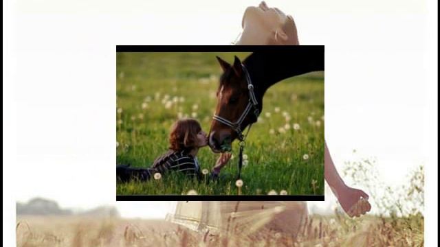 Люби цвети живи и радуй смотреть онлайн