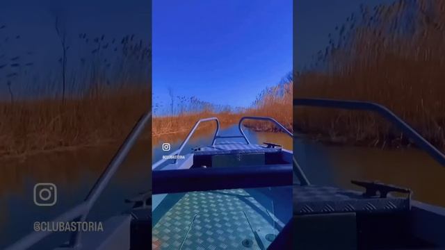 Астрахань половодье -фактор влияющий на поведение рыбы)но клёв есть! Рыбалка и отдых? #судак #fish смотреть онлайн