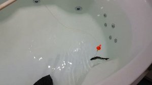 Роботизированная приманка для рыбалки. Обзор. Fishing Robotic Swimming Lure Wobblers For Fishing