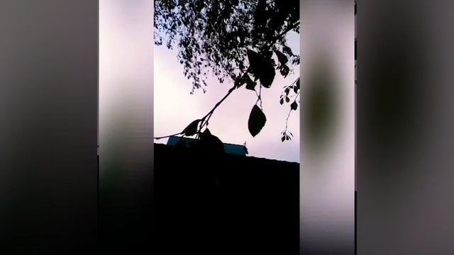 Очень крутое Slow Mo/ Прогулка/ Ты должен это посмотреть🤩🤩😍😍🥰/Happy Girl💕 смотреть онлайн