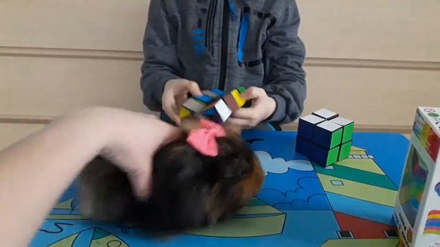 Magic Cube развивает моторику и логику смотреть онлайн