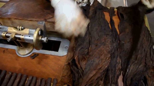 настоящий табак.кентуки. смотреть онлайн