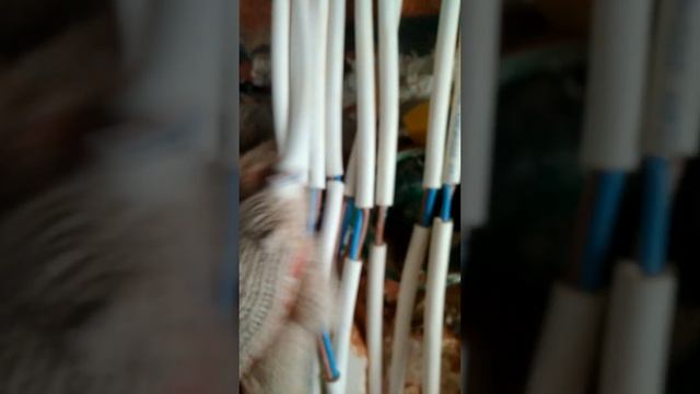 Снять изоляцию канцелярским ножом смотреть онлайн