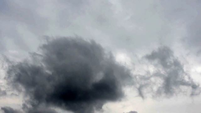 Подарок Губернатора Вологжанам на День города! смотреть онлайн