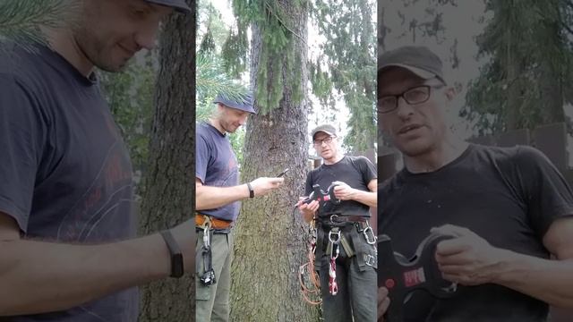 3-ий ролик 2--ой дубль Как замерить диаметр дерева смотреть онлайн