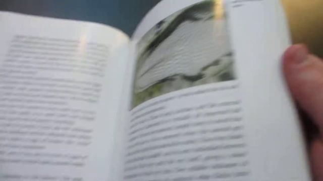 Reptile Book of The Week #6 - Benjamin's Exotics смотреть онлайн