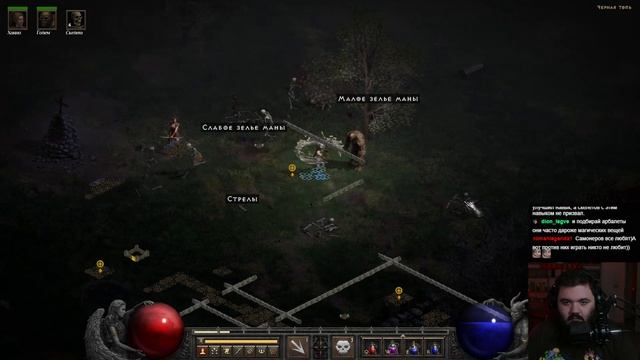 ВПЕРВЫЕ играю в Diablo 2: Wanderbraun за Некроманта. День 1