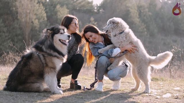 Kraljica Elizabeta Lansirala Parfem Za Pse I Detrdžent Za Sudove