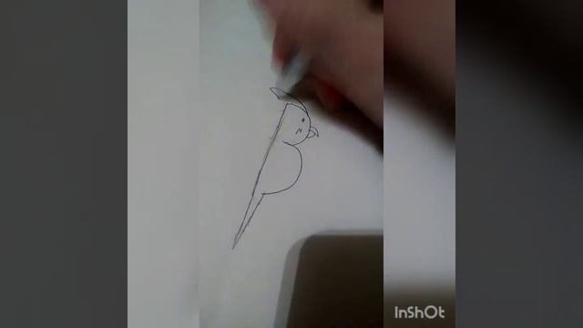 Как нарисовать попугая. смотреть онлайн