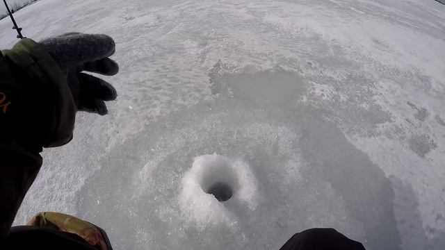 Точно закрылся! Окунь на балансир! Крупная плотва на мормышку! смотреть онлайн