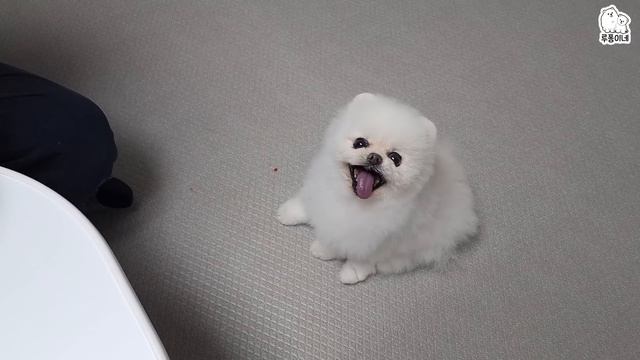 무서운 할아버지가 집에 오셨어요! смотреть онлайн