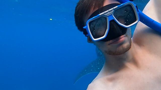 ВСТРЕЧА С АКУЛАМИ (в хорошем качестве) НА GoPro 🩸