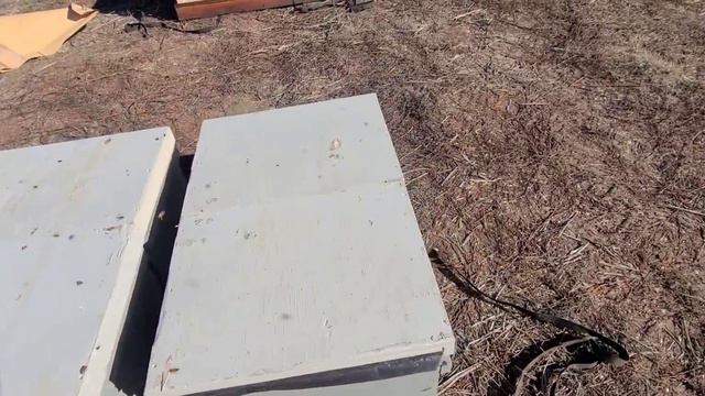 16 декабря раздаем протеиновые лепешки  пчелки гудють и хорошо гудють