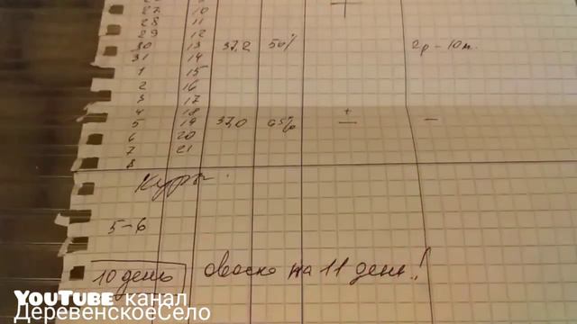 Делай как я/Режим инкубации от мастера своего дела!!#ДеревенскоеСело смотреть онлайн