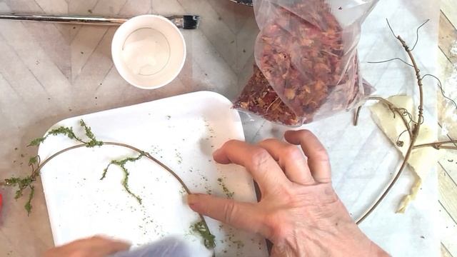 DIY CLIMBING VINES - Roses And Ivy смотреть онлайн