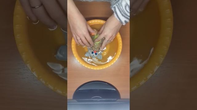Выращивание травянчика. Часть 1. смотреть онлайн
