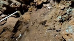 Находки самоцветов. Яркие моменты сезона 2020